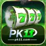 PK11 Game