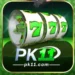PK11 Game