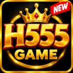 h555
