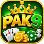 PAK9 Game