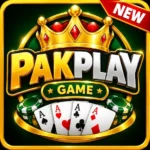 PakPlay Game