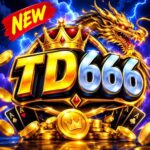 Td666 Game