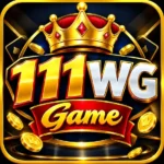 111WG