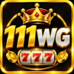 111WG Game